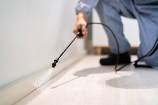 Professional exterminator conducting IPM assessment in North Judson