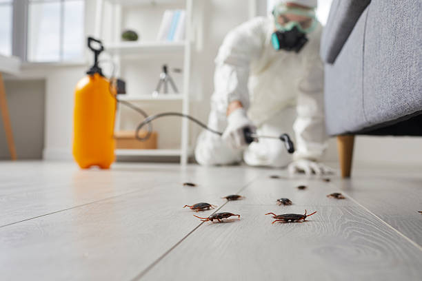 Commercial Kitchen Cockroach Control in North Judson